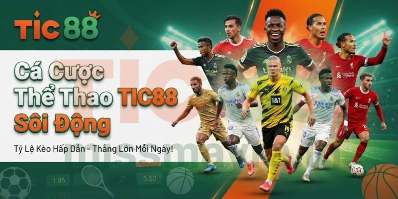 Cá Cược Thể Thao TIC88 Sôi Động Với Hàng Nghìn Bảng Kèo